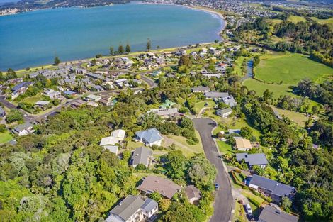 Photo of property in 6 Punga Place, Whitianga, 3510