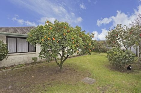 Photo of property in 2 Moehau Street, Te Puke, 3119