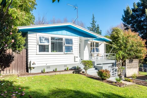 Photo of property in 216 Stout Street, Mangapapa, Gisborne, 4010