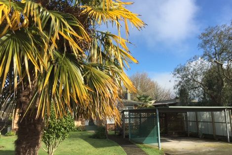 Photo of property in 12 Vincent Street, Matamata, 3400