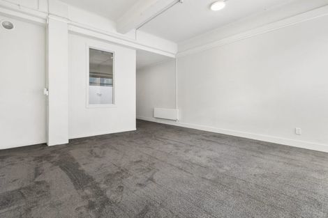 Photo of property in 195a Vivian Street, Te Aro, Wellington, 6011