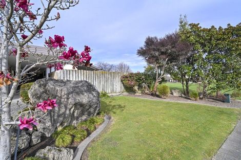 Photo of property in 17 Donegal Crescent, Tamatea, Napier, 4112