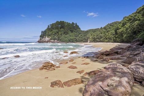 Photo of property in 339 Onemana Drive, Onemana, Whangamata, 3691