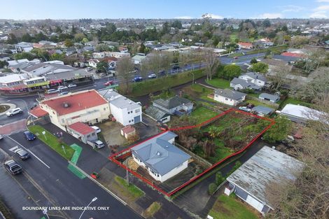 Photo of property in 24 Te Aroha Street, Hamilton East, Hamilton, 3216