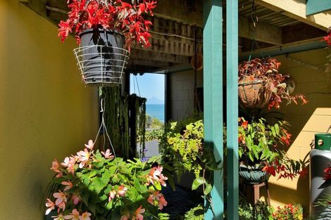 Photo of property in 9 Aria Terrace, Mokau, 4376