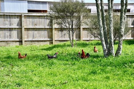 Photo of property in 131 Oparara Road, Karamea, 7893