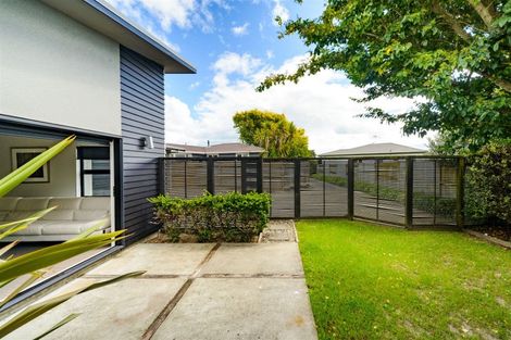 Photo of property in 12a Conway Place, Terrace End, Palmerston North, 4410