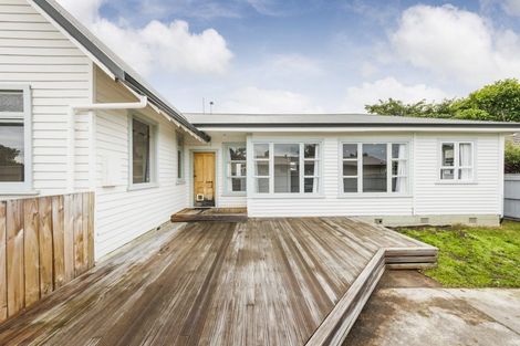 Photo of property in 47 Knowles Street, Terrace End, Palmerston North, 4410