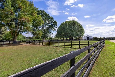 Photo of property in 383 Matangi Road, Matangi, Hamilton, 3284