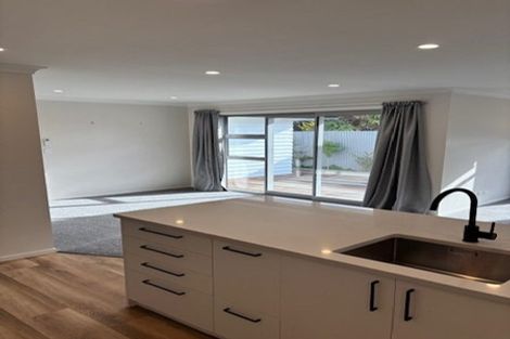 Photo of property in 115a Limbrick Street, Terrace End, Palmerston North, 4410