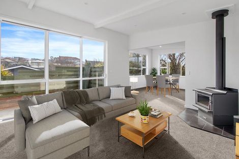 Photo of property in 152a Le Cren Street, Seaview, Timaru, 7910