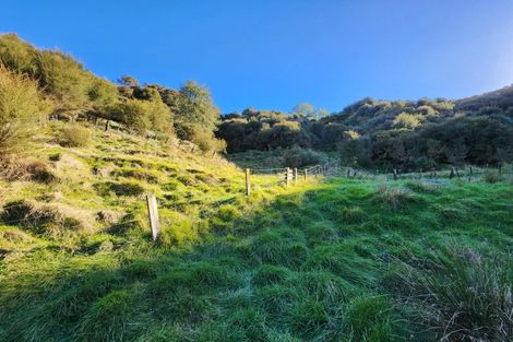 Photo of property in 65 Ngatoto Road South, Purangi, Tarata, 4387