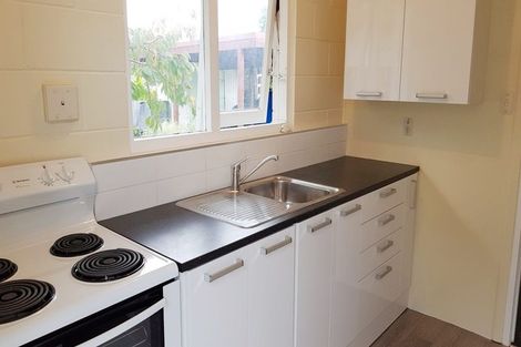 Photo of property in 4/17 Calgary Street, Sandringham, Auckland, 1041