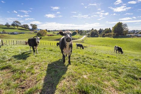 Photo of property in 77 Lichfield Road, Lichfield, Putaruru, 3482
