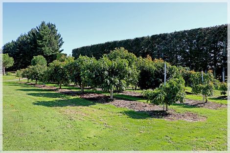 Photo of property in 286 Wall Road, Foxton, 4891