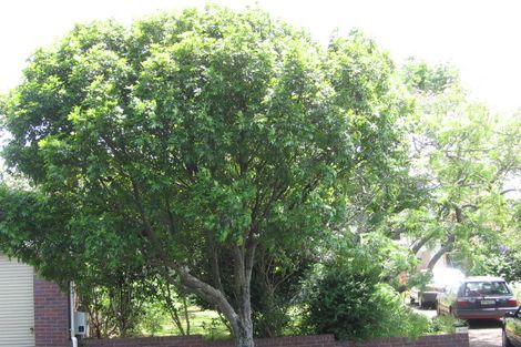 Photo of property in 65 Kitenui Avenue, Mount Albert, Auckland, 1025