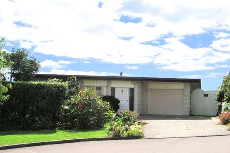Photo of property in 43 Vine Avenue, Maungatapu, Tauranga, 3112