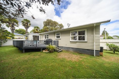 Photo of property in 34 Macarthur Street, Levin, 5510