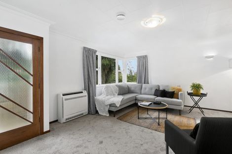 Photo of property in 49 Pacific Street, Roslyn, Dunedin, 9010