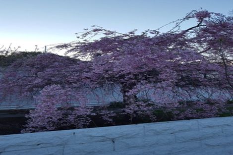 Photo of property in 14 Faulkland Drive, Witherlea, Blenheim, 7201