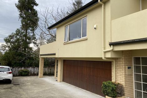 Photo of property in 15f Manning Street, Hamilton Central, Hamilton, 3204