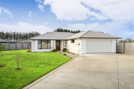 Photo of property in 34 Oldfield Lane, Marton, 4710