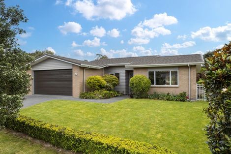 Photo of property in 8 Beachwood Drive, Hatfields Beach, Orewa, 0931