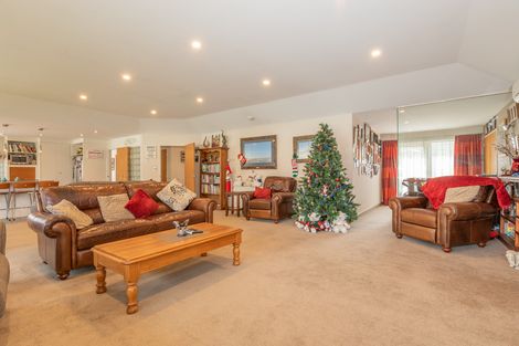 Photo of property in 29 Larch Crescent, Alexandra, 9320