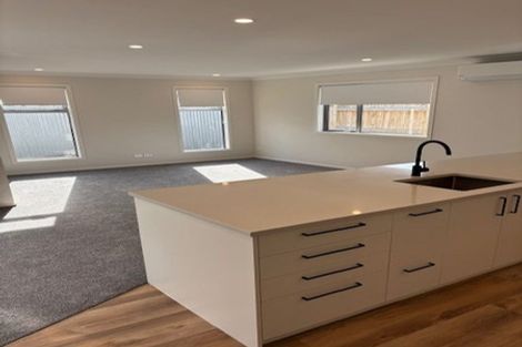 Photo of property in 115a Limbrick Street, Terrace End, Palmerston North, 4410