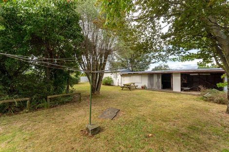 Photo of property in 20 Anglesea Street, Renwick, 7204