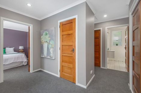 Photo of property in 56 Every Street, Andersons Bay, Dunedin, 9013