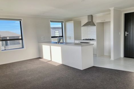 Photo of property in 19 Pragma Rise, Rototuna North, Hamilton, 3210