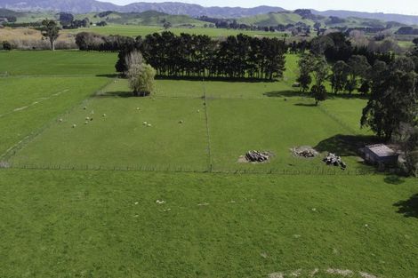 Photo of property in 29 Tutaekara Road, Pahiatua, 4987