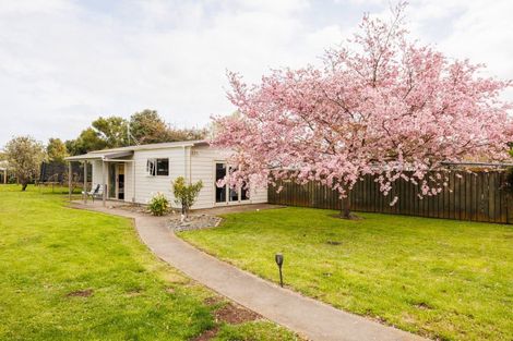 Photo of property in 5 Daniell Street, Bulls, 4818