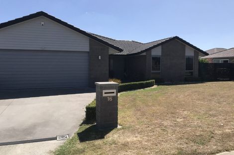 Photo of property in 16 Pengover Avenue, Leamington, Cambridge, 3432