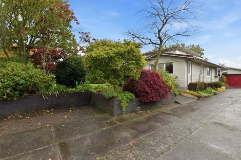 Photo of property in 3 Solly Place, Springfield, Rotorua, 3015