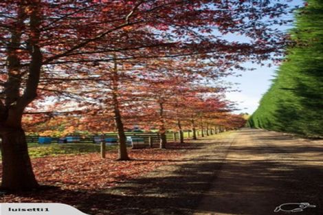 Photo of property in 26 Waiora Lane, Waikuku, 7473