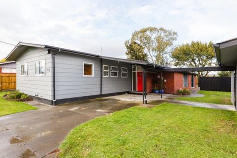 Photo of property in 45 Bamfield Street, Ashhurst, 4810