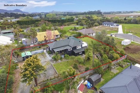 Photo of property in 16 Mulgan Street, Katikati, 3129