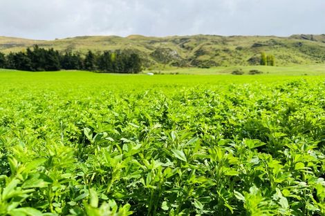 Photo of property in 537 Aubrey Road, Wanaka, 9305