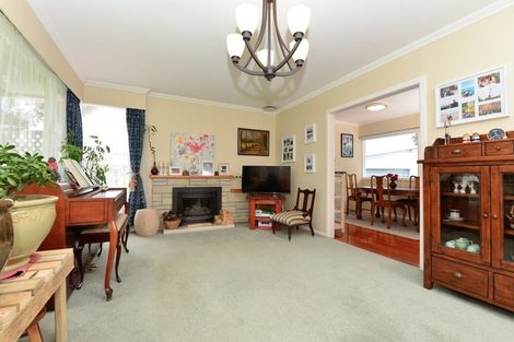 Photo of property in 29 Chesterman Road, Riverlea, Hamilton, 3216