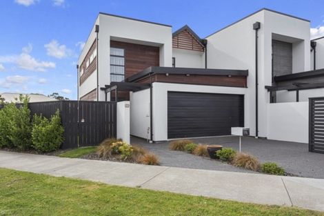 Photo of property in 19a Hayson Drive, Kaiapoi, 7630