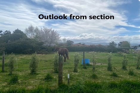 Photo of property in 15c Madison Street, Carterton, 5713