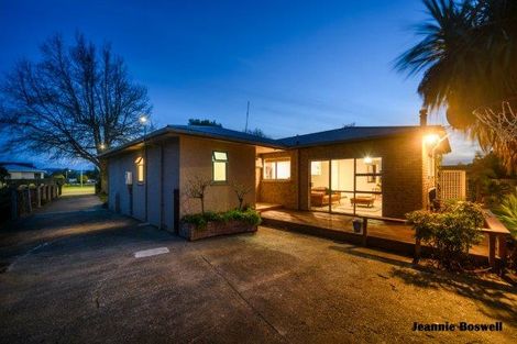 Photo of property in 481 Ruahine Street, Terrace End, Palmerston North, 4410