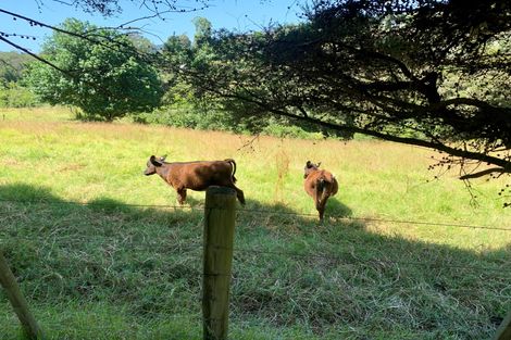 Photo of property in 77b Hone Heke Road, Kerikeri, 0230