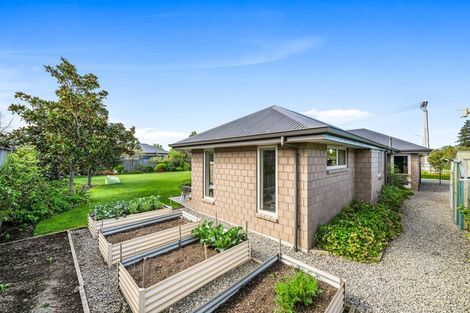 Photo of property in 11 Rose Street, Springlands, Blenheim, 7201