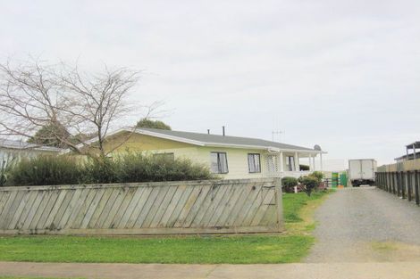 Photo of property in 10 Ryder Crescent, Levin, 5510