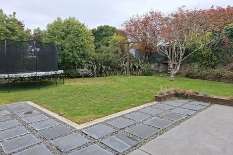 Photo of property in 23 Puriri Crescent, Lansdowne, Masterton, 5810