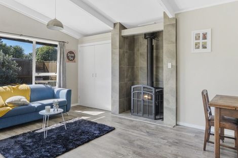 Photo of property in 58 Leefield Street, Blenheim, 7201