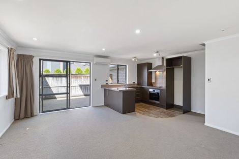 Photo of property in 17 Stadium Lane, Whitiora, Hamilton, 3200